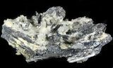 Metallic Stibnite Crystal Cluster with Quartz - China #46038-1